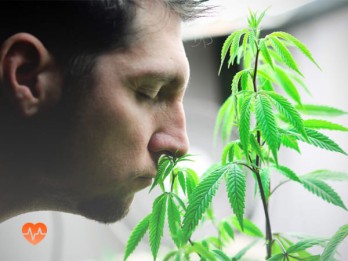 Детоксикация от марихуаны в Кыштыме